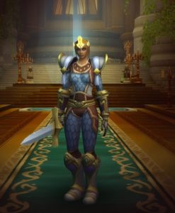 World of Warcraft human paladin stands in class hall