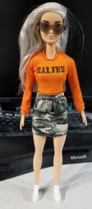 Picture of Barbie Fashionista 107 in her original outfit